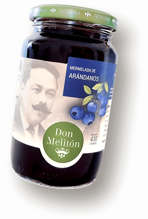 Mermelada tradiccional de arándanos